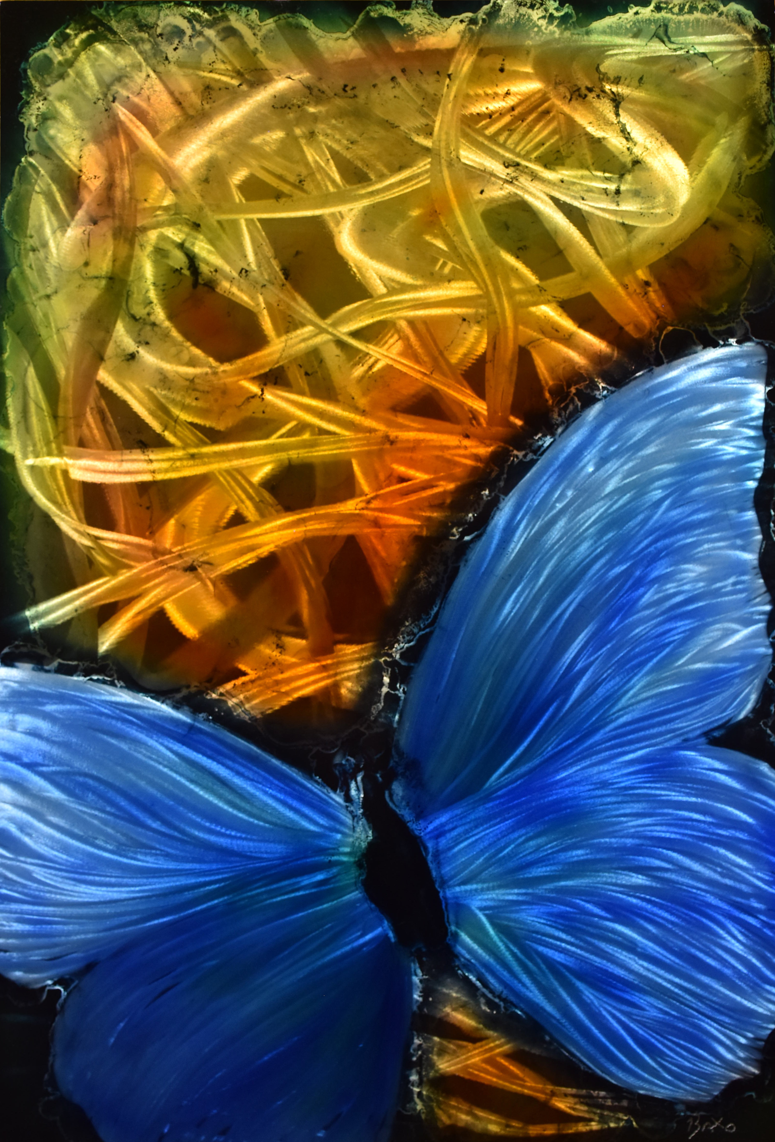 Chaotic Butterfly